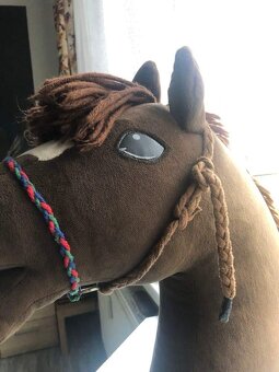 Hobby Horse - 4