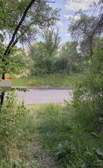 Pozemek, zahrada,sad,louka - 4