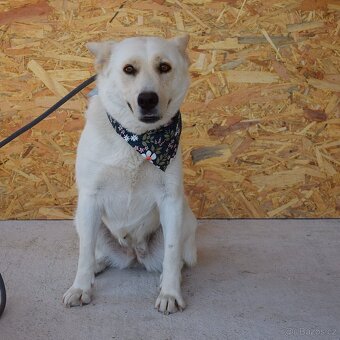 🌸 Zaira – veselá parťačka do života 🌸 - 4