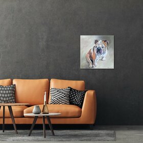 Obraz olejomalba na plátně pes "English bulldog", 40x40 cm - 4