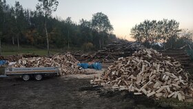 Palivové dřevo štípané SKLADEM, Třebíč, Vysočina - 4