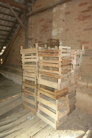 Prodám přepravky/lísky/bedýnky na předkličování brambor - 4