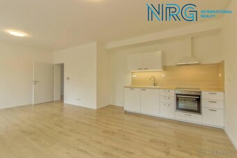 Pronájem bytu 3 +kk, 100m2 ve vila - domě, s oplocenou za - 4