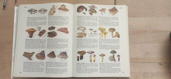 Příroda v ČSSR - 4