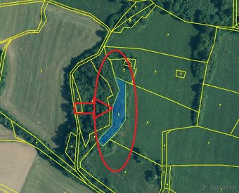 Prodej lesního pozemku v k.ú. Kolinec - 4