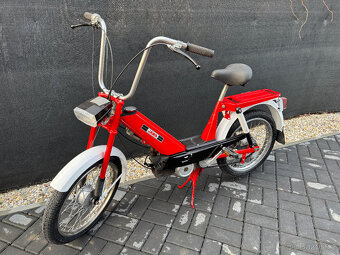 BABETTA 207 PO RENOVACI - 4