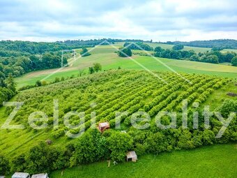 Polom - Jabloňový sad 9760m² s zahradním domkem na prodej - 4