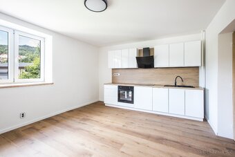Pronájem bytu 2+kk, 38m2, Velké Hamry - 4