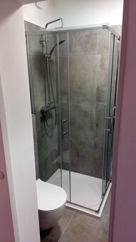 Pronájem nově zrekonstruovaného bytu 1+1 Teplice, Ruská - 4