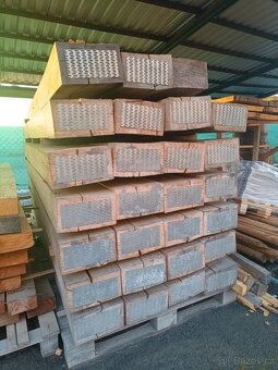 Pražce bukové prodej - 4