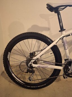 Kolo SCOTT Contessa scale - 4