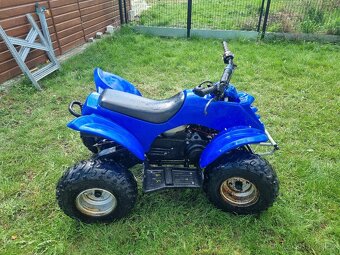 Prodám dětskou čtyřkolku 90ccm - 4