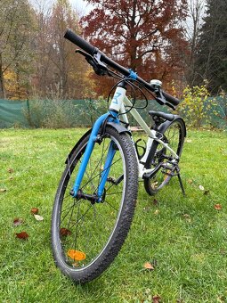 Dětské kolo Beany 24 - 4