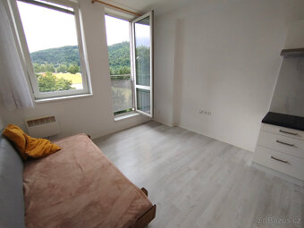 Pronájem garsonky 18m2 - 4