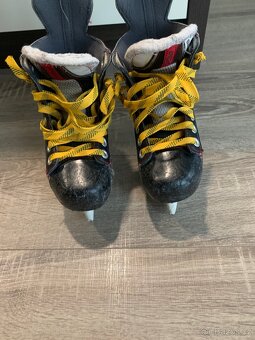 Brusle bauer x60 , Y 13.5 eur 31.5 - 4