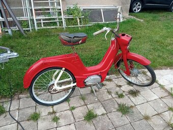 Jawetta 551 - 4