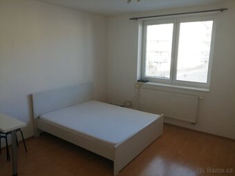 Pronájem 1+kk, ulice K Babě, Medlánky, 30 m2, novostavba - 4