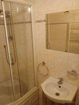 Pronájem bytu 1+1 bez RK. Příbram VII, 12000Kč včetně služeb - 4