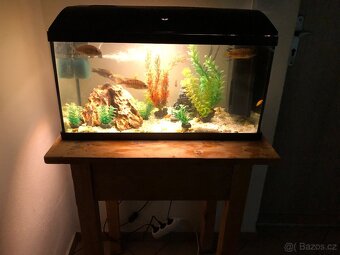 Prodam akvarium s příslušenstvím - 4