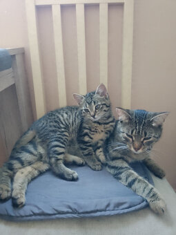 Lili a Neli - 4