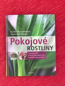 Gutsy Leadership,Monet, Pokojové rostliny - 4