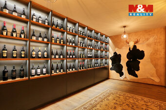 Prodej obchod a služby, 890 m², Olomouc, ul. Riegrova - 4