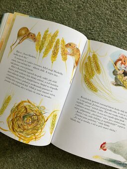 Skřítek rozekvítek - 4