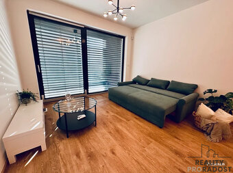 Pronájem bytu 1+kk 33 m² Tetauerova, Praha - Žižkov - 4