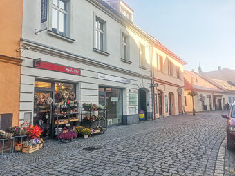 Pronájem prodejny v blízkosti centra Sušice - 4