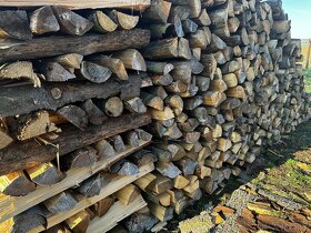Prodám tvrdé dubové palivové dřevo, - 4