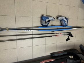 Prodám Běžky Favorit Wood Core s boty a hůlky 160cm - 4
