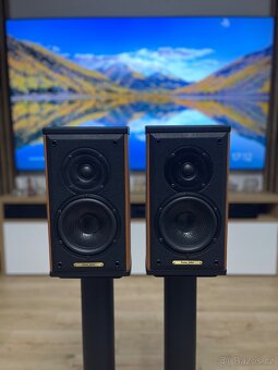 Sonus Faber Liuto Monitor + stojany - 4