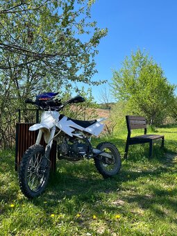 pitbike 125 Thunder - 4