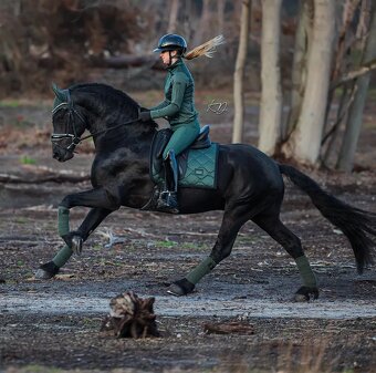 Equestrian Stockholm Sycamore Green DL a VS - 4