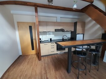 Pronájem bytu 1+kk, 52m2 - 4