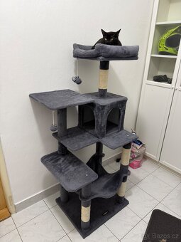 Kočka s výbavou - 4