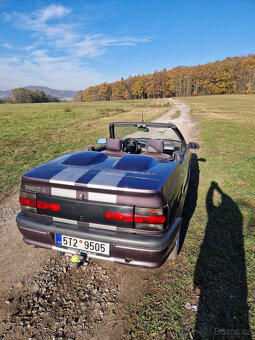 R 19 II Cabrio tažné bez ECO - 4