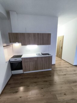 Nabízíme k dlouhodobému pronájmu byt - 4