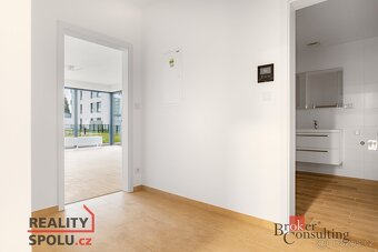 Prodej, byty/1+kk, 47 m2, Goldscheiderova 3055/5, Jižní Před - 4