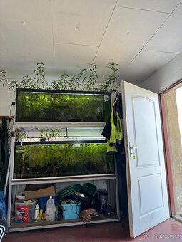 Akvárium 2x450l - 4