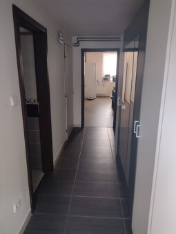 Pronájem, byt, 1+1, 55 m², Hradec Králové - 4