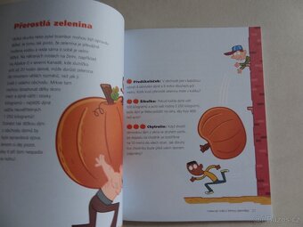 Kniha Zábavná matematika pod polštář - Laura Overdeck - 4
