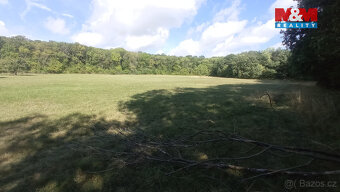 Prodej louky, 16692 m², Jenčice - 4