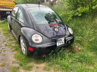 Dily beetle - 4