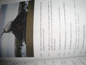 Němčina, Angličtina - 4