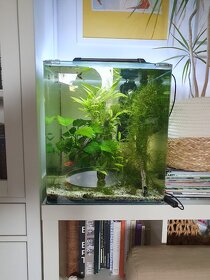 nano cube akvárium 60l - 4