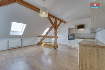 Prodej bytu 2+kk, 64 m², Plzeň, ul. Chelčického - 4