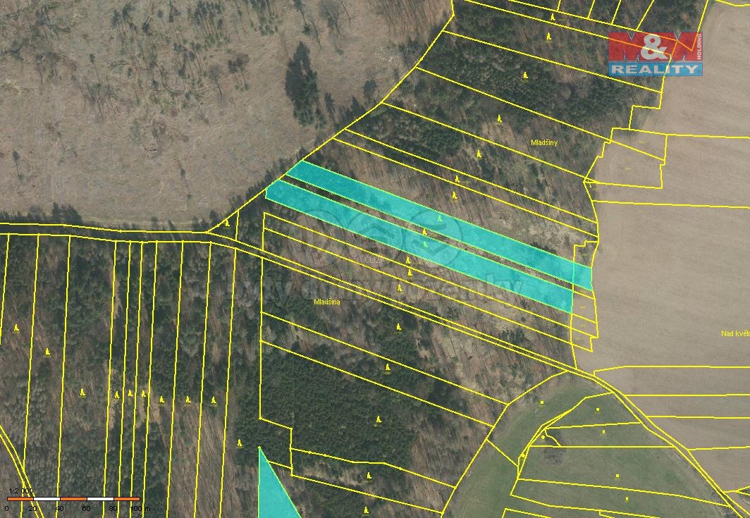 Prodej lesa, 3290 m², Stehlovice - 5