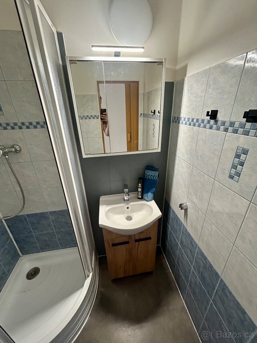 Pronájem 1+1 46m2, balkon/sklep Strakonice - 5