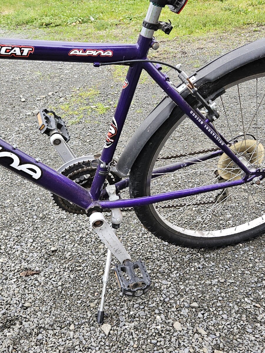 Dětské kolo Alpina - 5